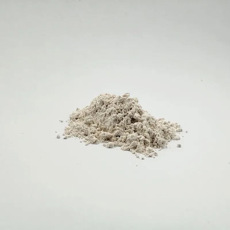 Diatomaceous Earth – 100 grams
