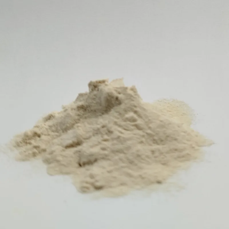 Bromelain – 100 grams