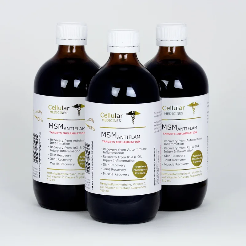 MSM-Antiflam – Triple Pack